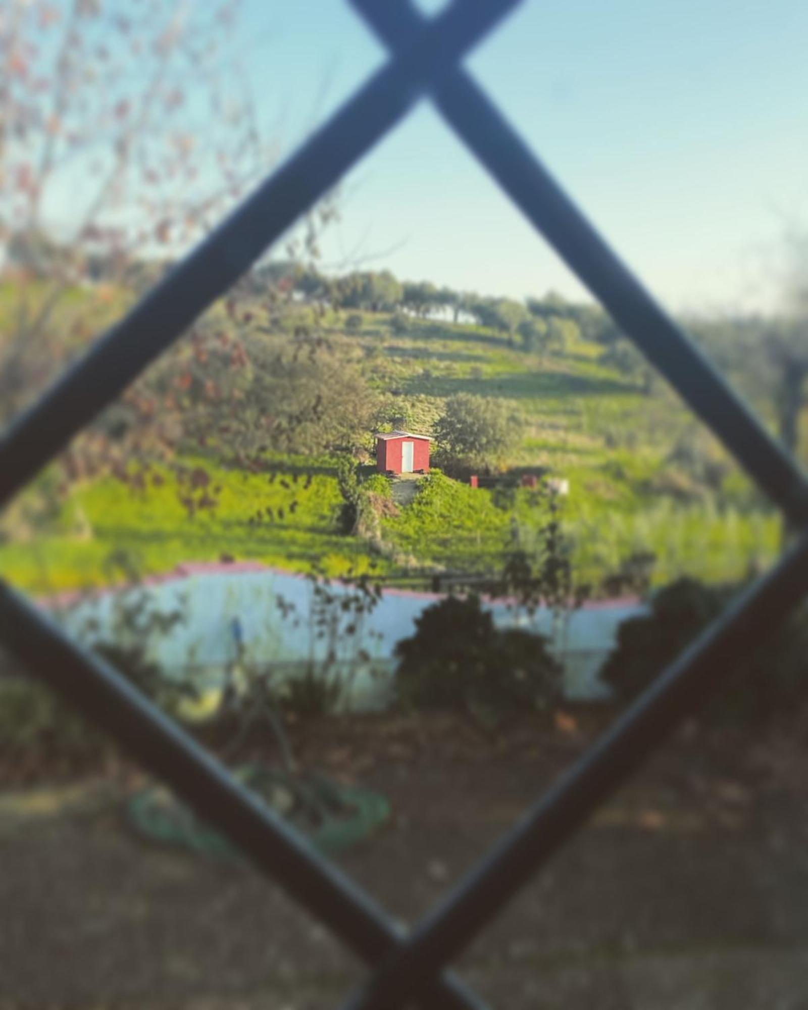 La Casa Barata, Casa Rural Cedillo Esterno foto
